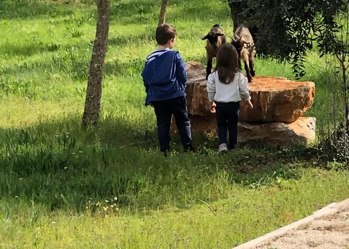 Casas Da Ladeia - 1 * Alvorge